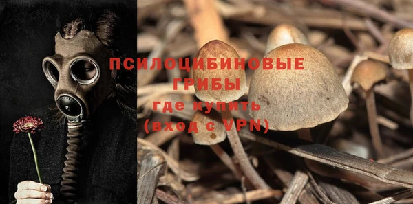соль курить ск Кодинск
