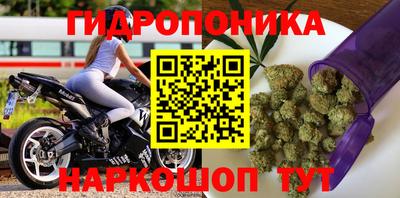 индика Коммунар